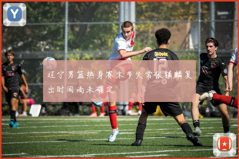辽宁男篮热身赛末节失常张镇麟复出时间尚未确定