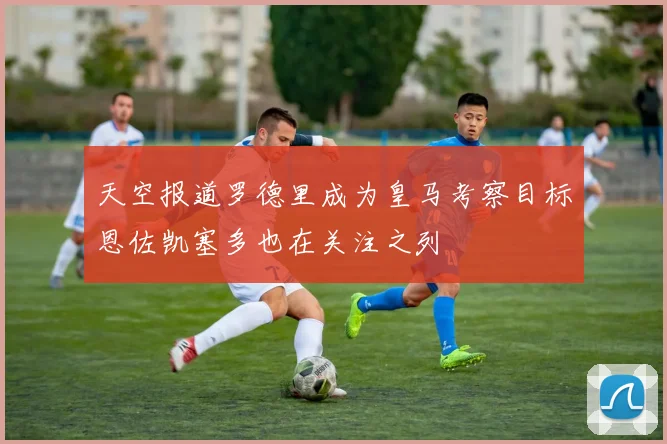 天空报道罗德里成为皇马考察目标恩佐凯塞多也在关注之列